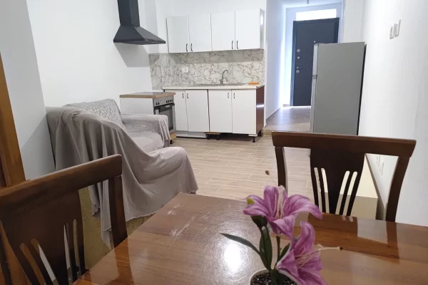 Shtepi me qera Apartament ne Tirane, 1+1, Mobilimi E mobiluar, Pagesa 30,000  Leke.