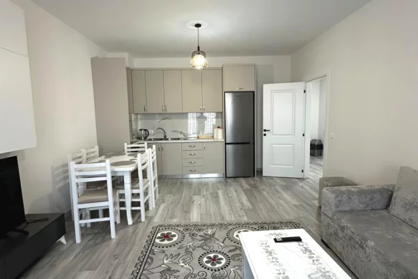 Shtepi me qera Apartament ne Tirane, 2+1, Mobilimi E mobiluar, Pagesa 500  Euro.