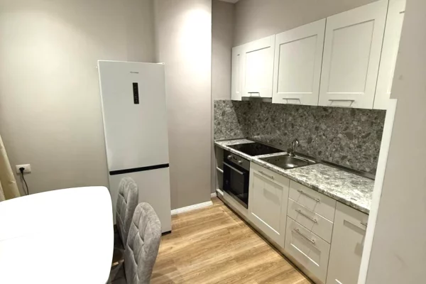 Shtepi me qera Apartament ne Tirane, 1+1, Mobilimi E mobiluar, Pagesa 45,000  Leke.