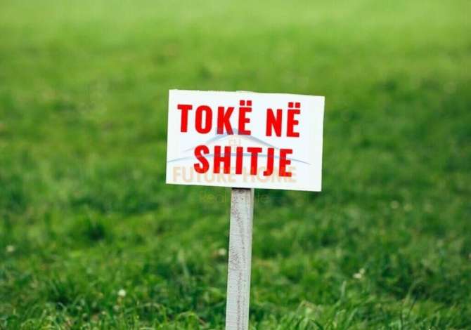 Shitet, Tokë,  te Gjiri Porto Palermos.