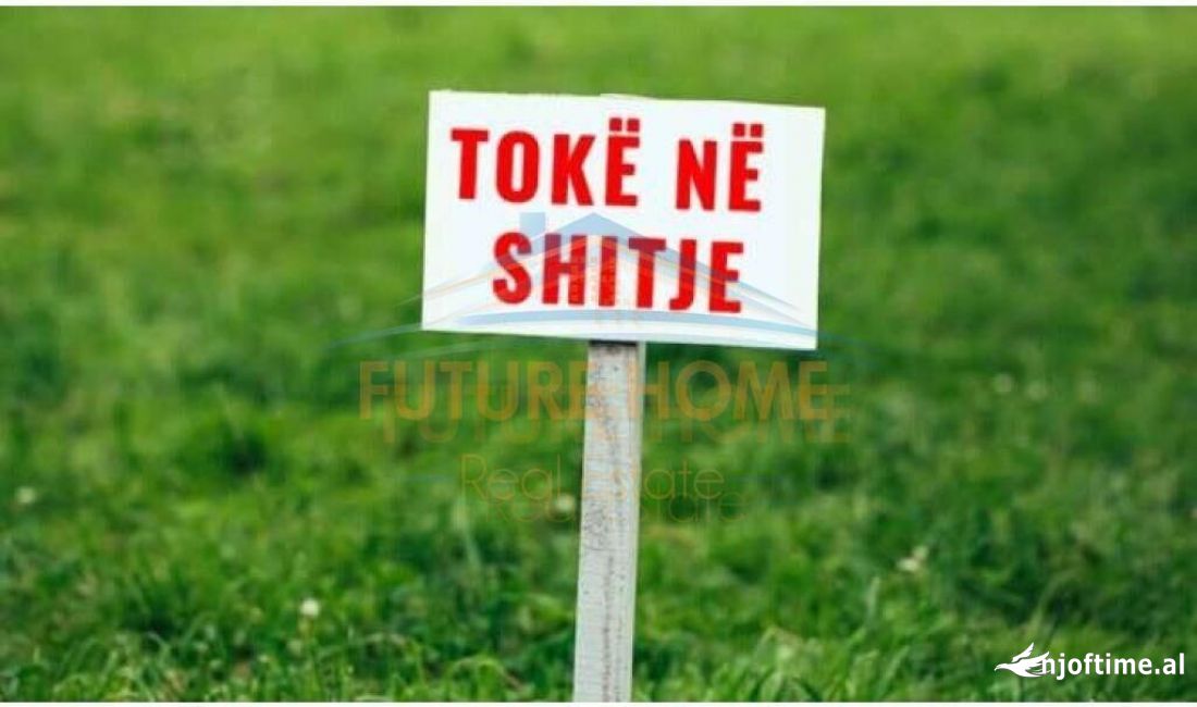 Shitet, Toke, Tagan-Vishaj