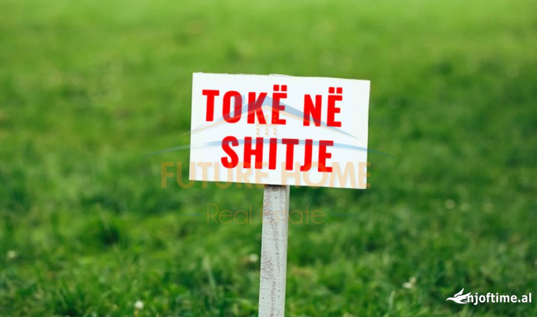 Shitet, Toke, Shkallnur, Durres