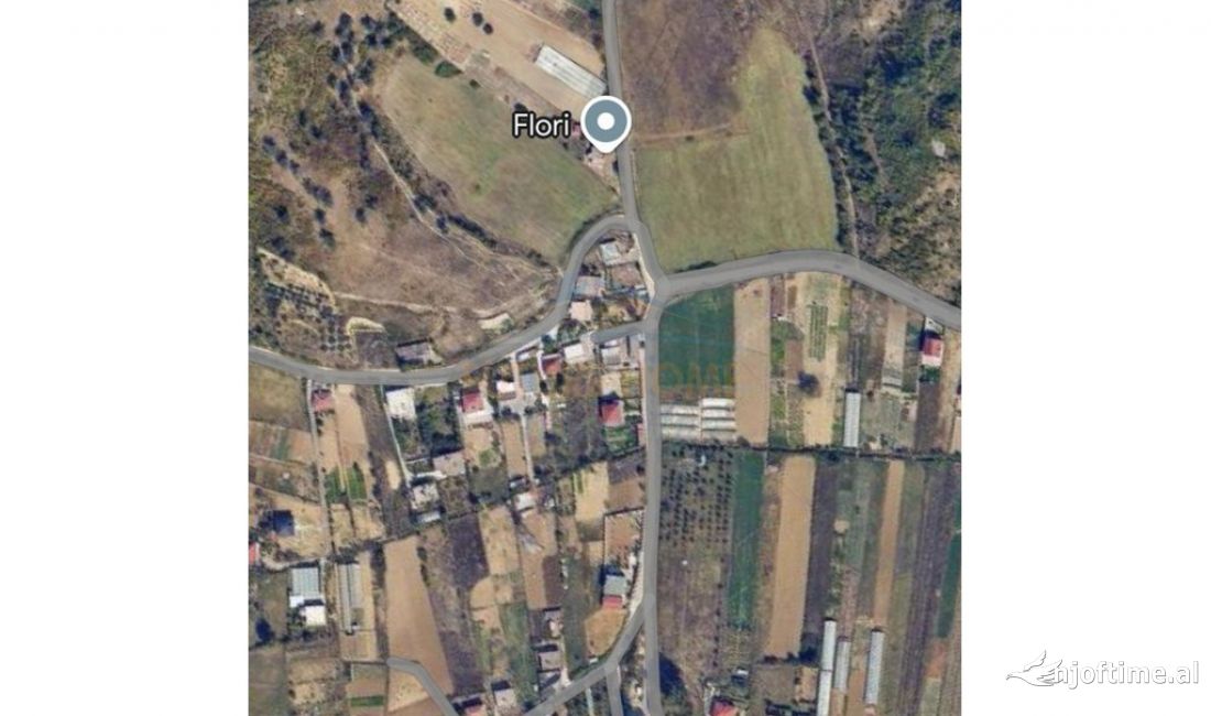 Shitet, Toke, Prush, Tirane.