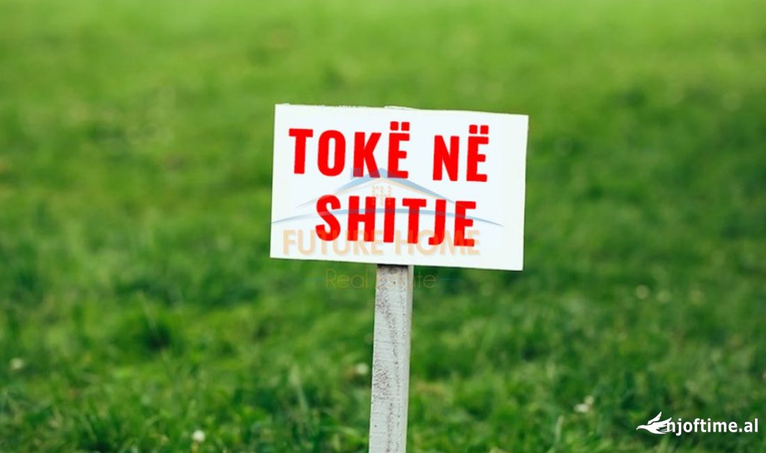 Shitet, Toke, Sharre, Tirane
