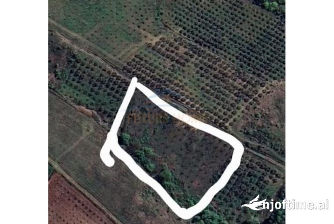 Toke ne shitje ne Kavaje