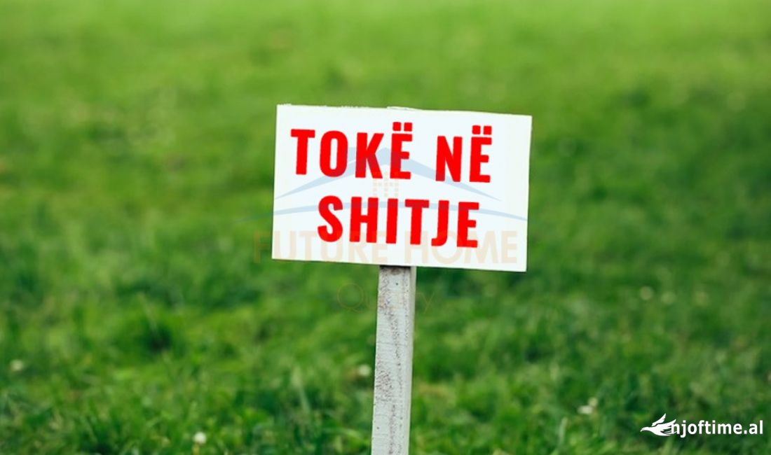 Shitet, Toke, Carine, Kavaje