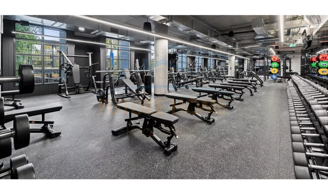 Shitet, Biznes-Palester, Rruga e Barrikadave