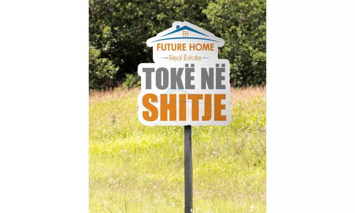 Shitet, Toke, Kuraten, Gjiri i Lalezit.