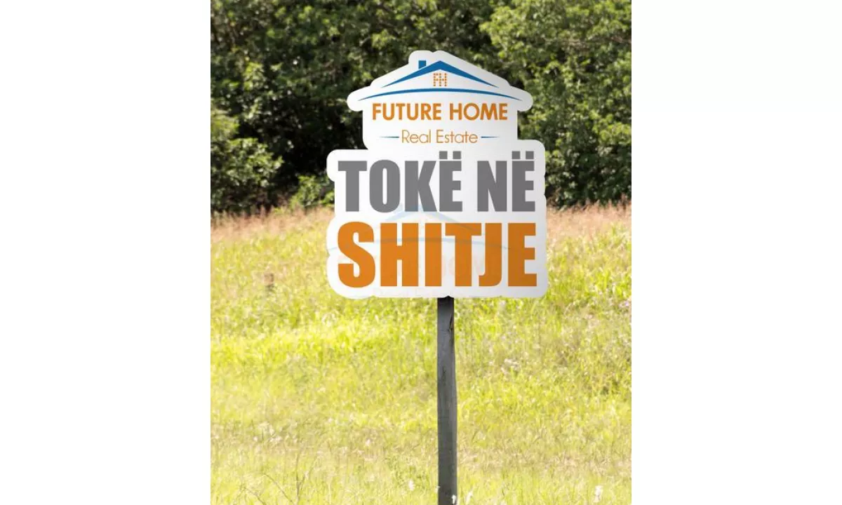 Shitet, Toke, Karpen, Kavaje.