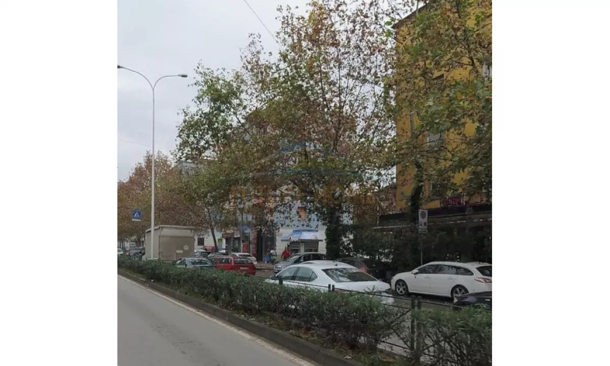  Ambient Biznesi, Rruga Asim Vokshi, Tirane.