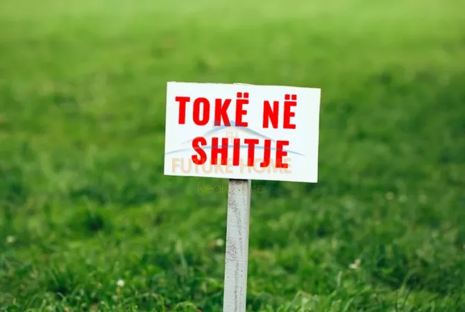 Shitet, Tokë ,Yzberisht,Tiranë