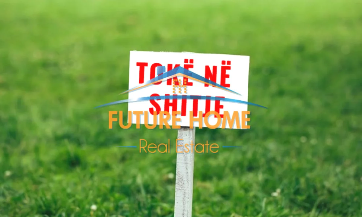 Shitet, Toke, Gjiri i Lalezit