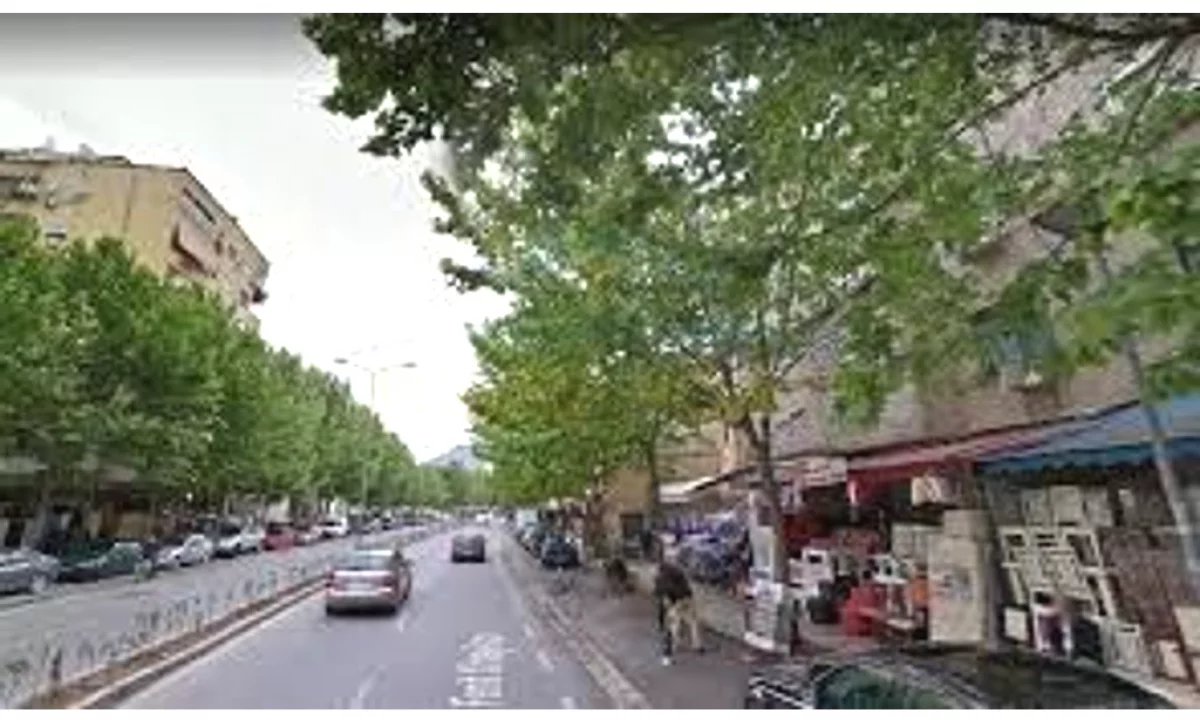 Ambient+Biznes, shitje Rruga Ferit Xhajko,Tirane.