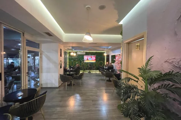 Shesim ambjent Biznesi, Bar-Kafe, Porcelan, Tiranë