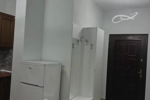 Shtepi me qera Apartament ne Tirane, 1+1, Mobilimi E mobiluar, Pagesa 55,000  Leke.