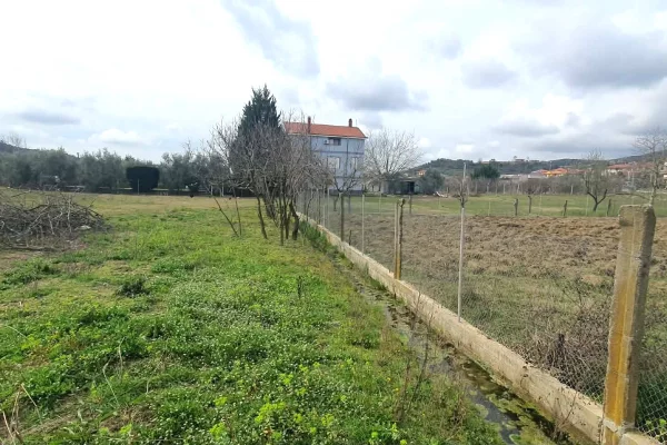 Truall ose Toke ne Tirane - 100,000 Euro