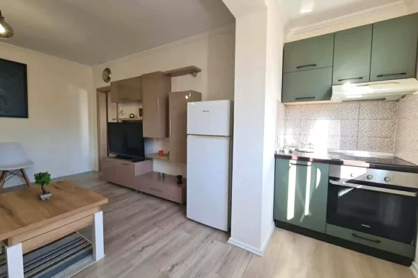 Shtepi ne shitje Apartament ne Tirane, 1+1, Mobilimi E mobiluar, Pagesa 8,800,000  Leke.
