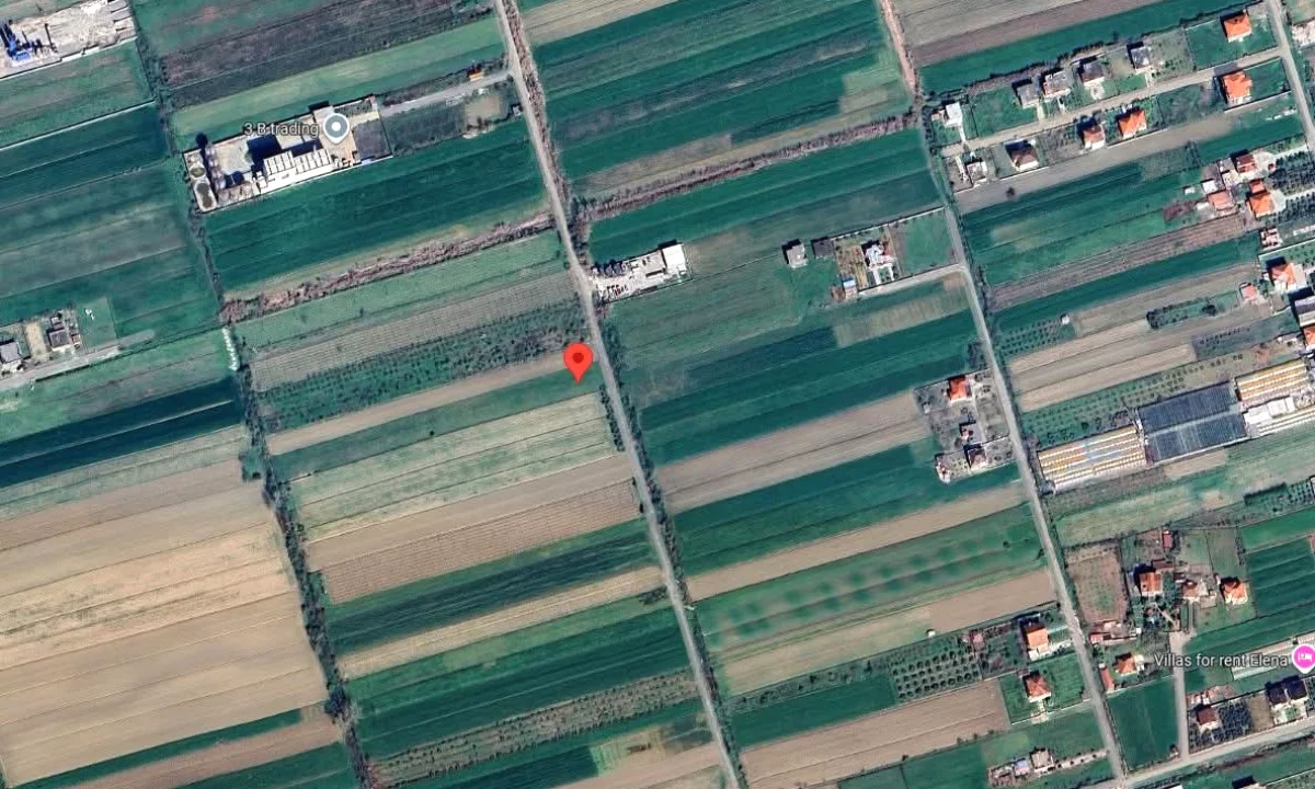 SHITET TOKE 7782 M2 - XHAFZOTAJ, SHIJAK 