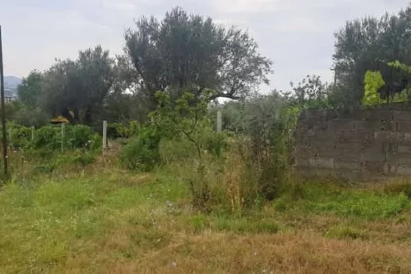 SHITET TRUALL 3000 M2 + NDERTESE 2 KATE - RRUGA E ARBERIT, FERRAJ 