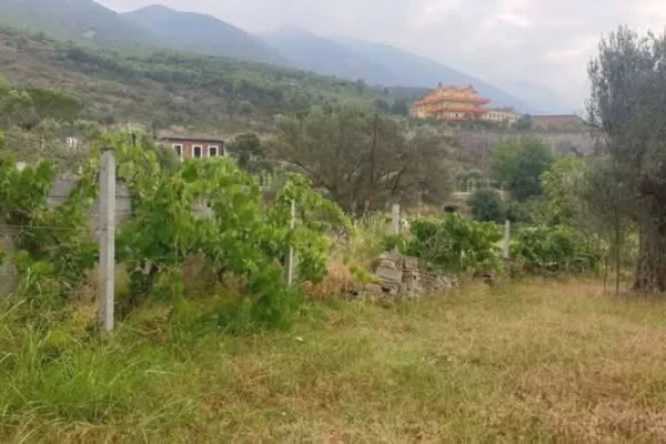 SHITET TRUALL 3000 M2 + NDERTESE 2 KATE - RRUGA E ARBERIT, FERRAJ 