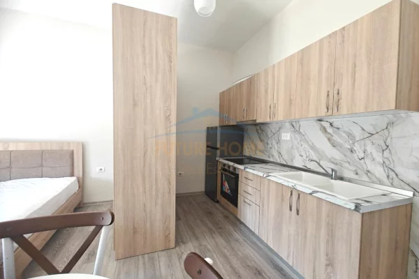 Shtepi me qera Apartament ne Tirane, Garsoniere, Mobilimi E mobiluar, Pagesa 28,000  Leke.