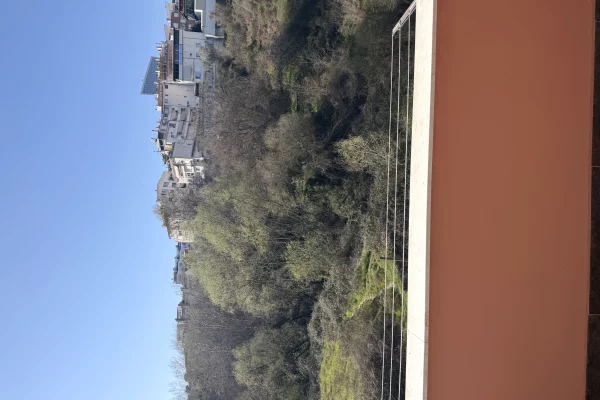 Shtepi me qera Apartament ne Tirane, 1+1, Mobilimi E mobiluar, Pagesa 500  Euro.