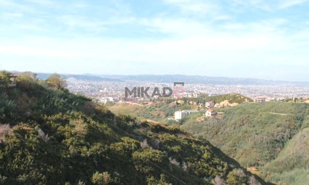 Shitet Toke ne Dajt ! 