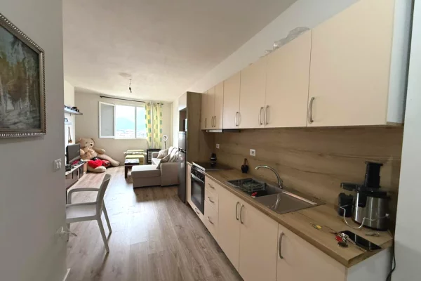 Shtepi me qera Apartament ne Tirane, 1+1, Mobilimi E mobiluar, Pagesa 450  Euro.