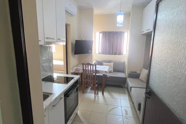 Shtepi me qera 1+1 ne Tirane - 320 Euro