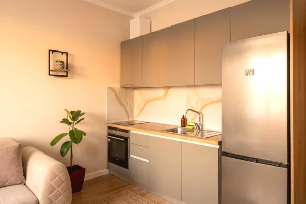 Shtepi me qera Apartament ne Tirane, 1+1, Mobilimi E mobiluar, Pagesa 65,000  Leke.