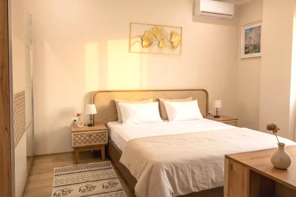 Shtepi me qera Apartament ne Tirane, 1+1, Mobilimi E mobiluar, Pagesa 65,000  Leke.