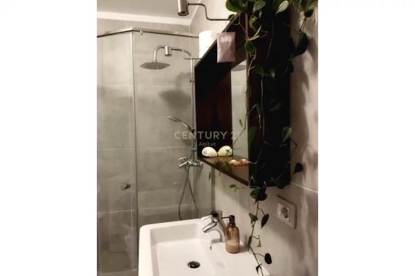 Shtepi me qera Apartament ne Tirane, 1+1, Mobilimi E mobiluar, Pagesa 600  Euro.