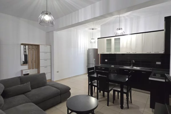 Casa in affitto 1+1 a Tirana - 42,000 Leke