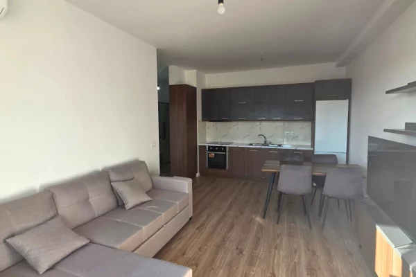 Shtepi me qera 2+1 ne Tirane - 60,000 Leke