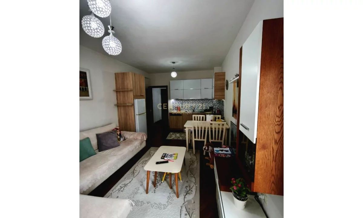 Shtepi ne shitje Apartament ne Tirane, 1+1, Mobilimi E mobiluar, Pagesa 110,000  Euro.