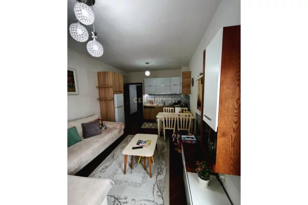 Shtepi ne shitje 1+1 ne Tirane - 110,000 Euro