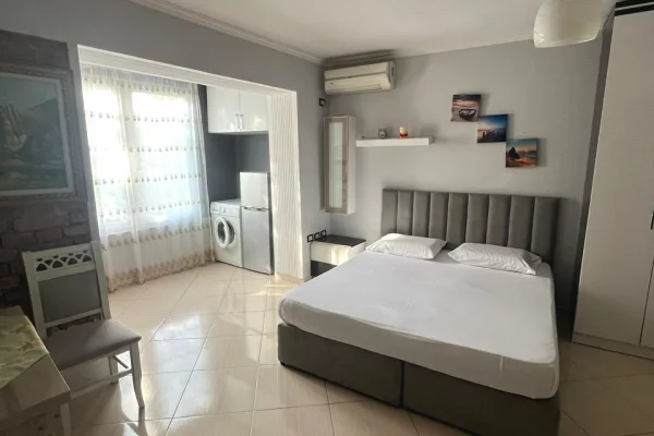 Shtepi me qera Apartament ne Tirane, Garsoniere, Mobilimi E mobiluar, Pagesa 450  Euro.