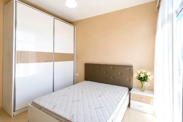Shtepi ne shitje Apartament ne Tirane, 1+1, Mobilimi E mobiluar, Pagesa 11,700,000  Leke.