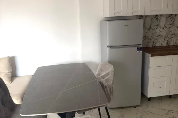 Shtepi me qera Apartament ne Tirane, 1+1, Mobilimi E mobiluar, Pagesa 500  Euro.