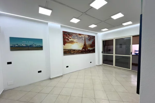 Ambient biznesi me qera 3+1 ne Tirane - 700 Euro
