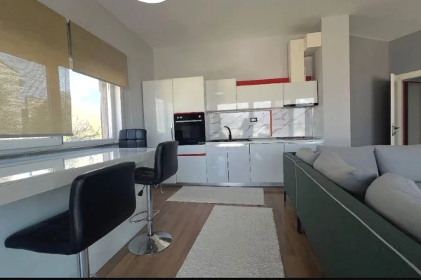 Shtepi me qera Apartament ne Tirane, 2+1, Mobilimi E mobiluar, Pagesa 800  Euro.