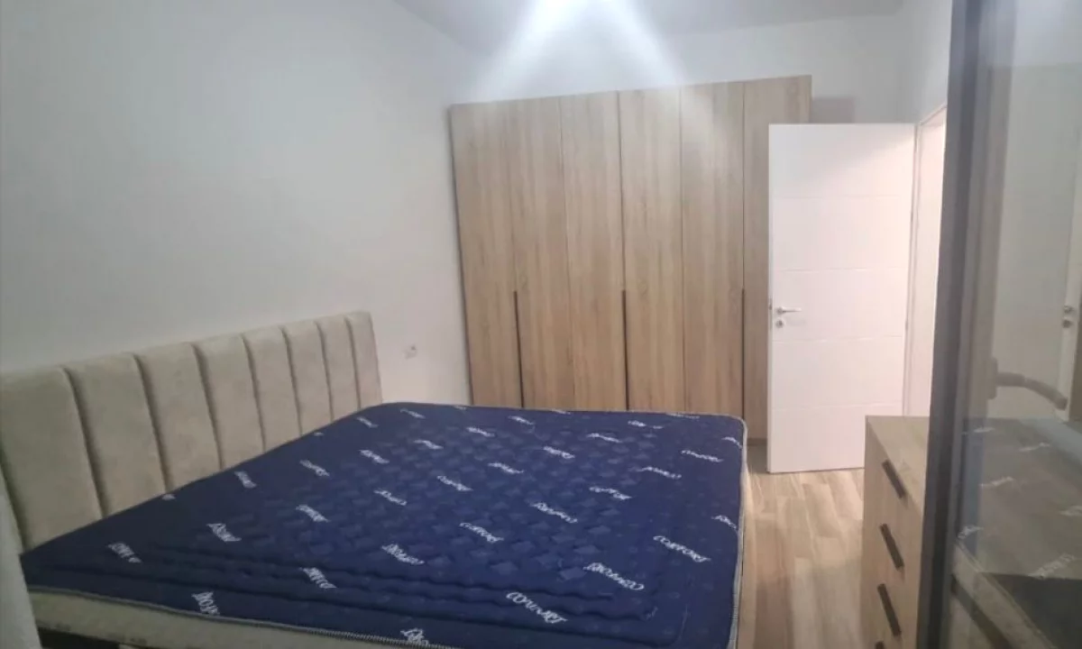 Shtepi me qera Apartament ne Tirane, 1+1, Mobilimi E mobiluar, Pagesa 500  Euro.