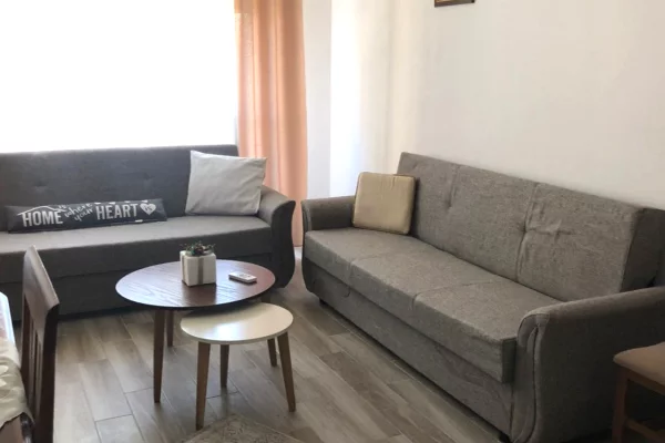 Shtepi me qera Apartament ne Tirane, 1+1, Mobilimi E mobiluar, Pagesa 500  Euro.