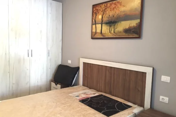 Shtepi me qera Apartament ne Tirane, Garsoniere, Mobilimi E mobiluar, Pagesa 450  Euro.