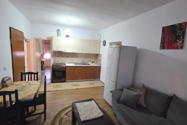 Shtepi me qera Apartament ne Tirane, 3+1, Mobilimi E mobiluar, Pagesa 500  Euro.