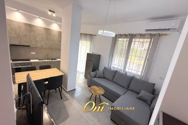 JEPET APARTAMENT ME QERA 1+1, SELITE