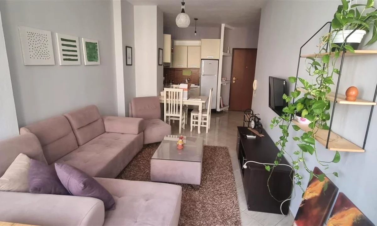 Shtepi me qera Apartament ne Tirane, 1+1, Mobilimi E mobiluar, Pagesa 600  Euro.