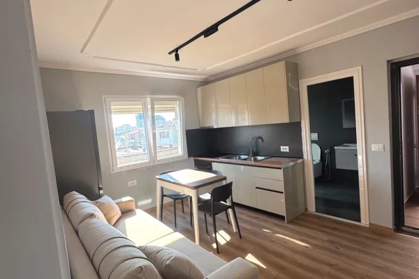 Shtepi me qera Apartament ne Tirane, 1+1, Mobilimi E mobiluar, Pagesa 55,000  Leke.