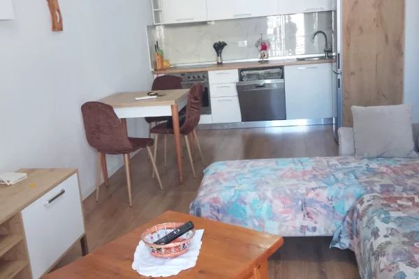 Shtepi me qera Apartament ne Tirane, 1+1, Mobilimi E mobiluar, Pagesa 60,000  Leke.