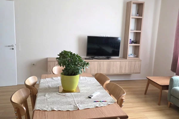 Shtepi me qera Apartament ne Tirane, 1+1, Mobilimi E mobiluar, Pagesa 80,000  Leke.